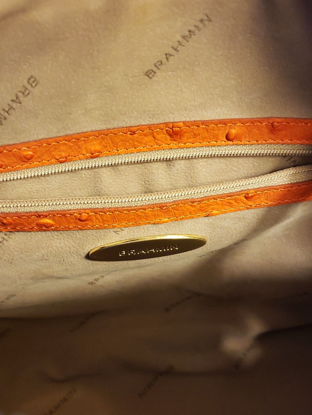 Brahmin Gemma Prawn Normandy - Picture 8 of 10